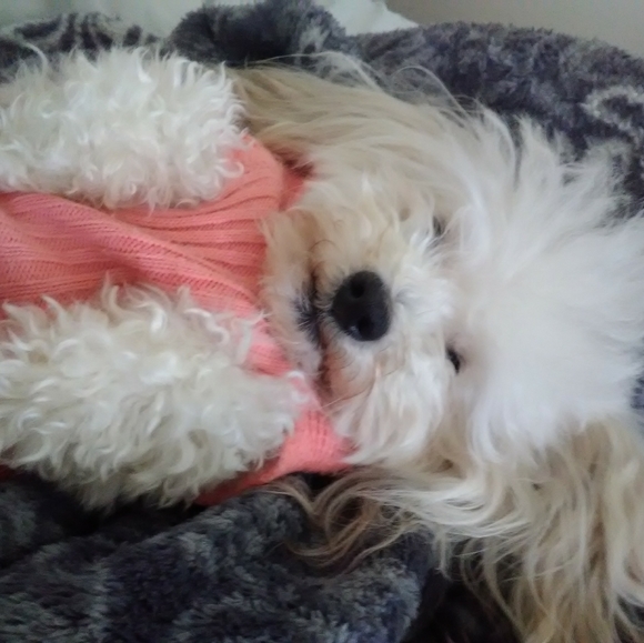 💫Meet your Posher, Missy 👑🍷🗼 - Picture 5 of 10